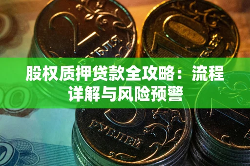 武汉股权质押贷款全攻略：流程详解与风险预警