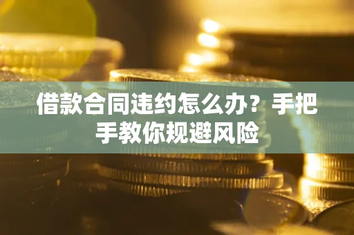 武汉借款合同违约怎么办？手把手教你规避风险