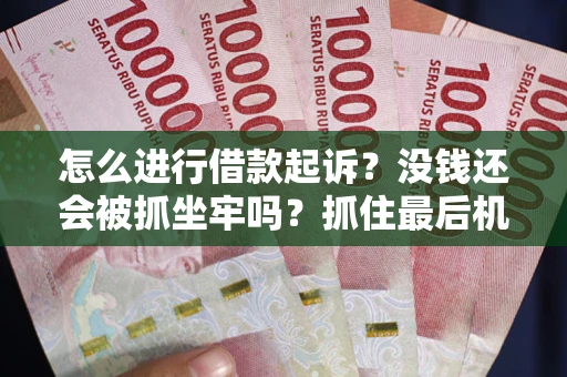 武汉怎么进行借款起诉？没钱还会被抓坐牢吗？抓住最后机会！
