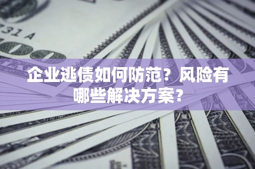武汉企业逃债如何防范？风险有哪些解决方案？