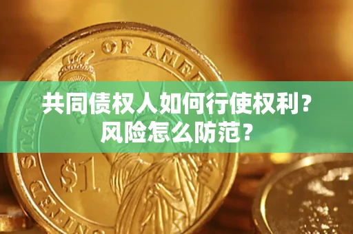 武汉共同债权人如何行使权利？风险怎么防范？
