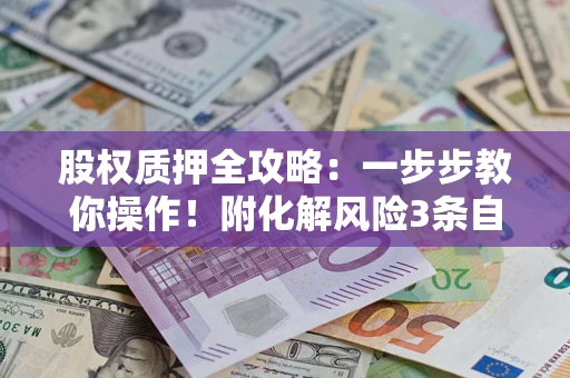 武汉股权质押全攻略：一步步教你操作！附化解风险3条自救法则