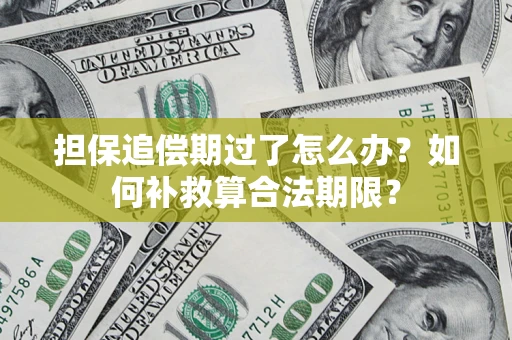 武汉担保追偿期过了怎么办？如何补救算合法期限？