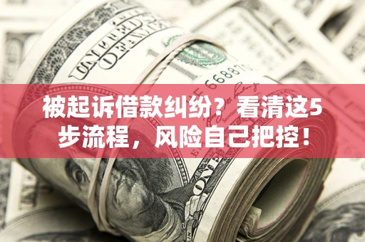 武汉被起诉借款纠纷？看清这5步流程，风险自己把控！