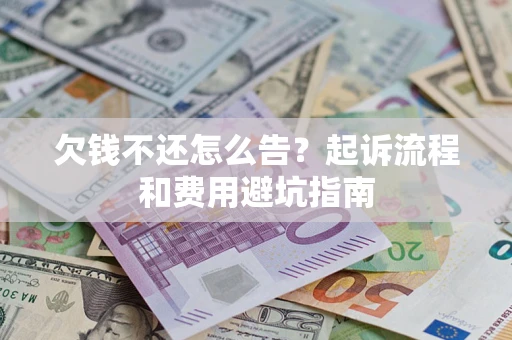 武汉欠钱不还怎么告？起诉流程和费用避坑指南