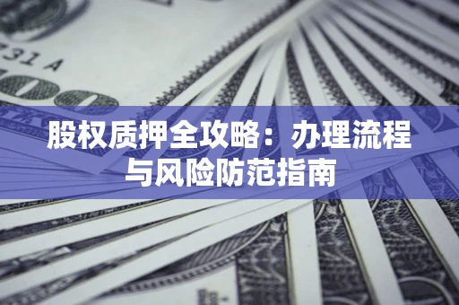 武汉股权质押全攻略：办理流程与风险防范指南