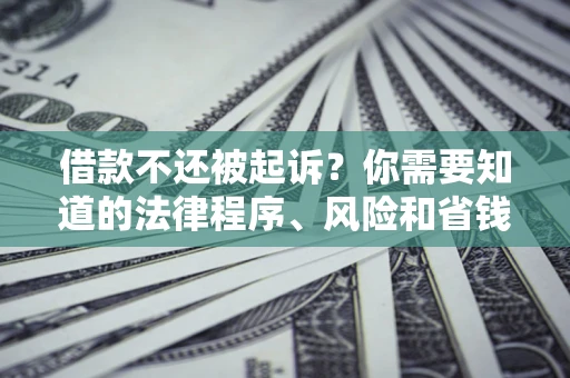 武汉借款不还被起诉？你需要知道的法律程序、风险和省钱技巧