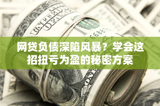 武汉网贷负债深陷风暴？学会这招扭亏为盈的秘密方案